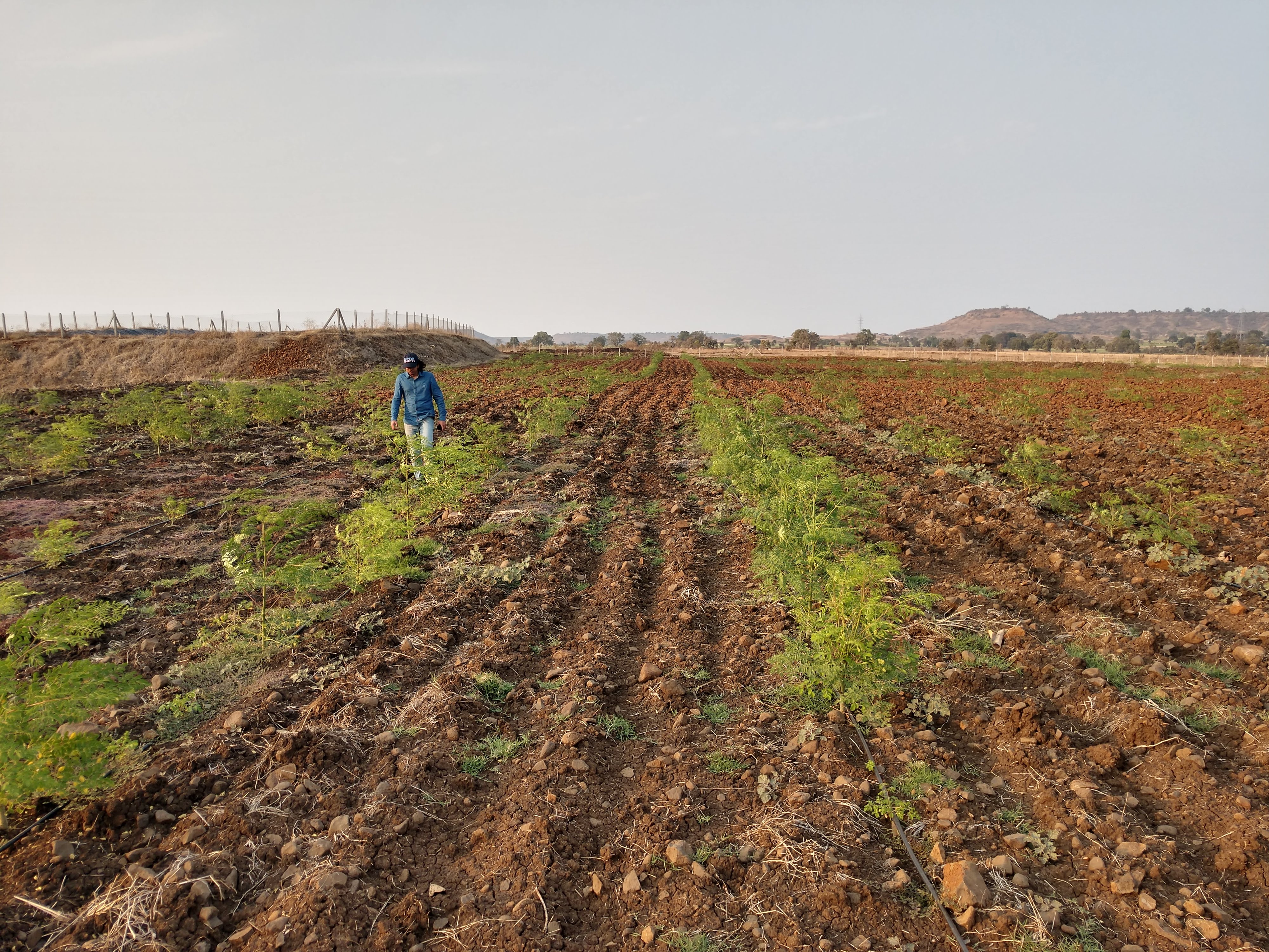 IMG_20190302_1719093