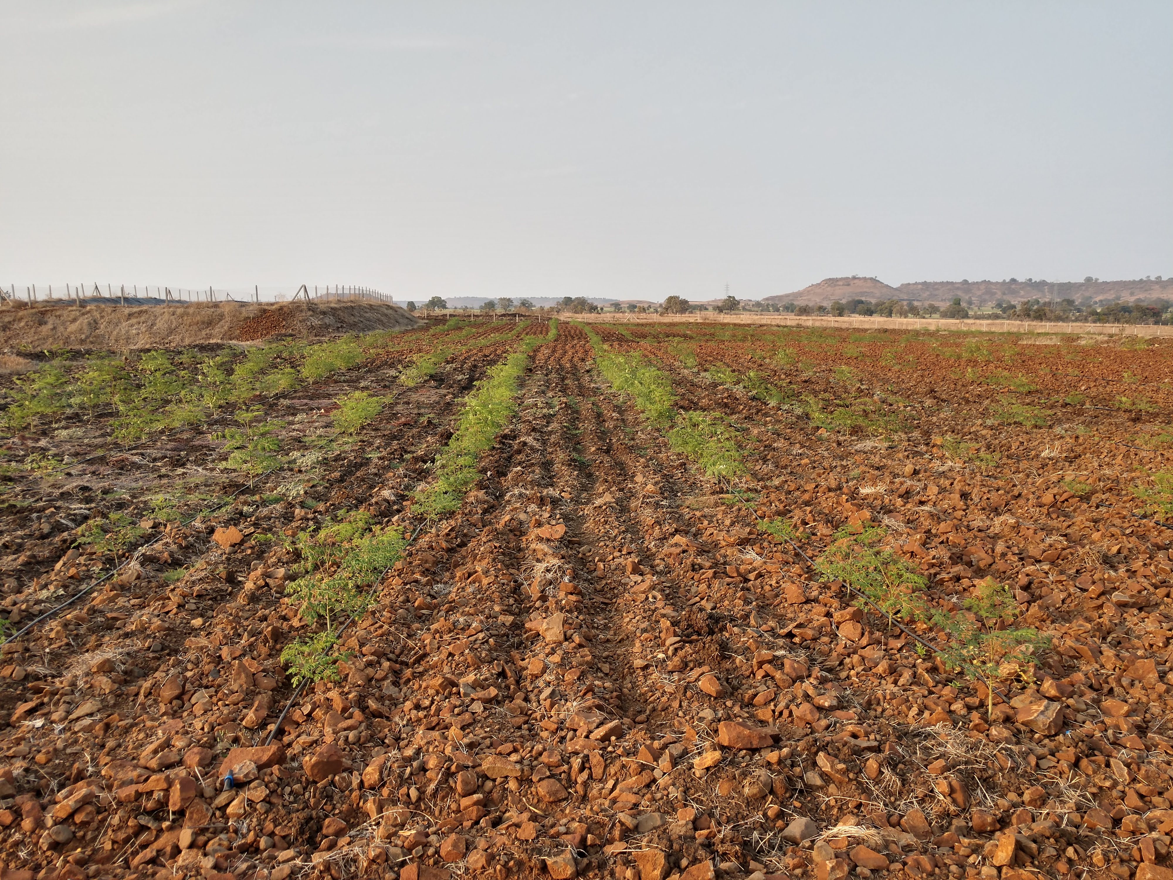 IMG_20190302_1720034