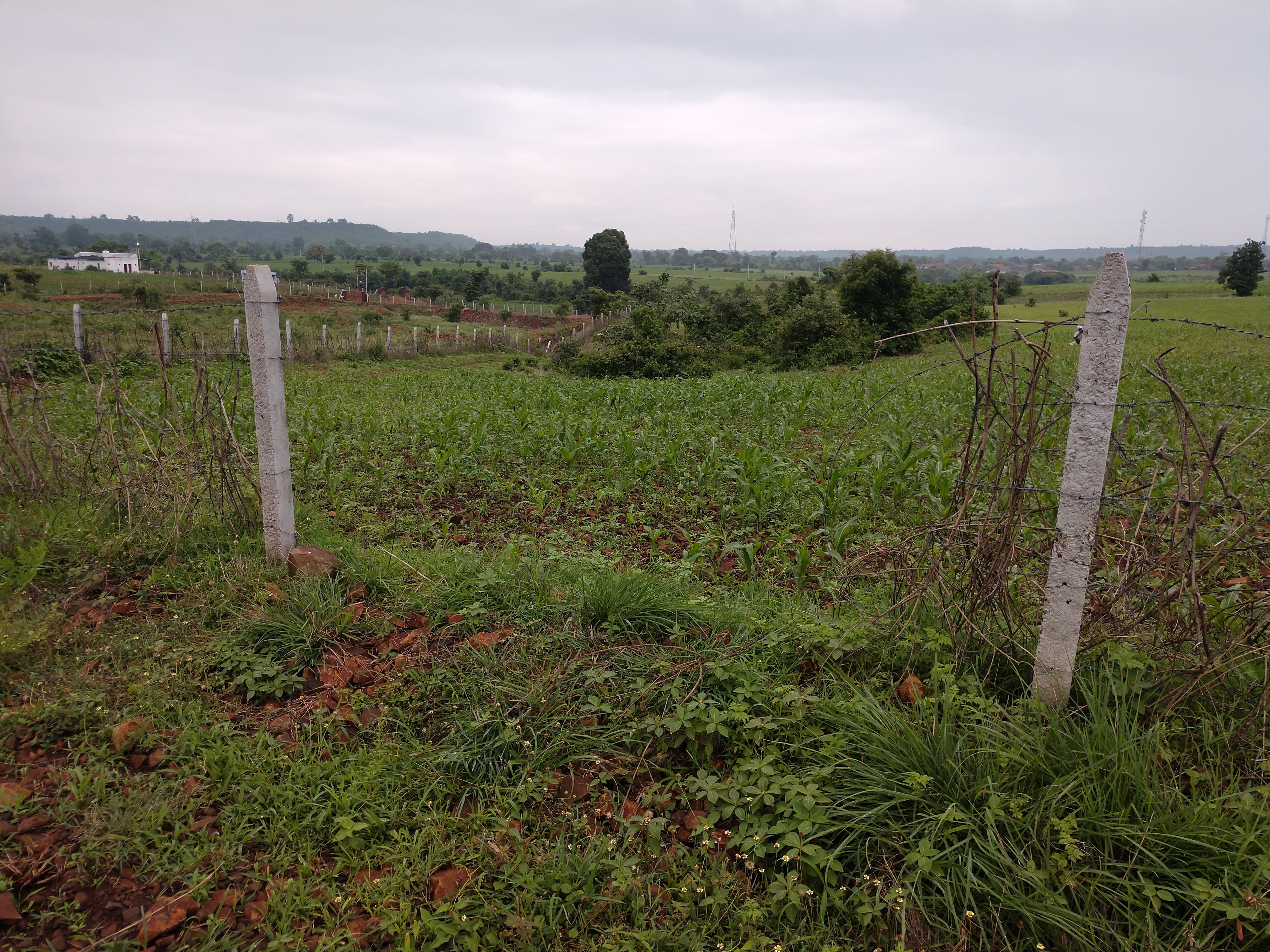 IMG_20190729_1338211