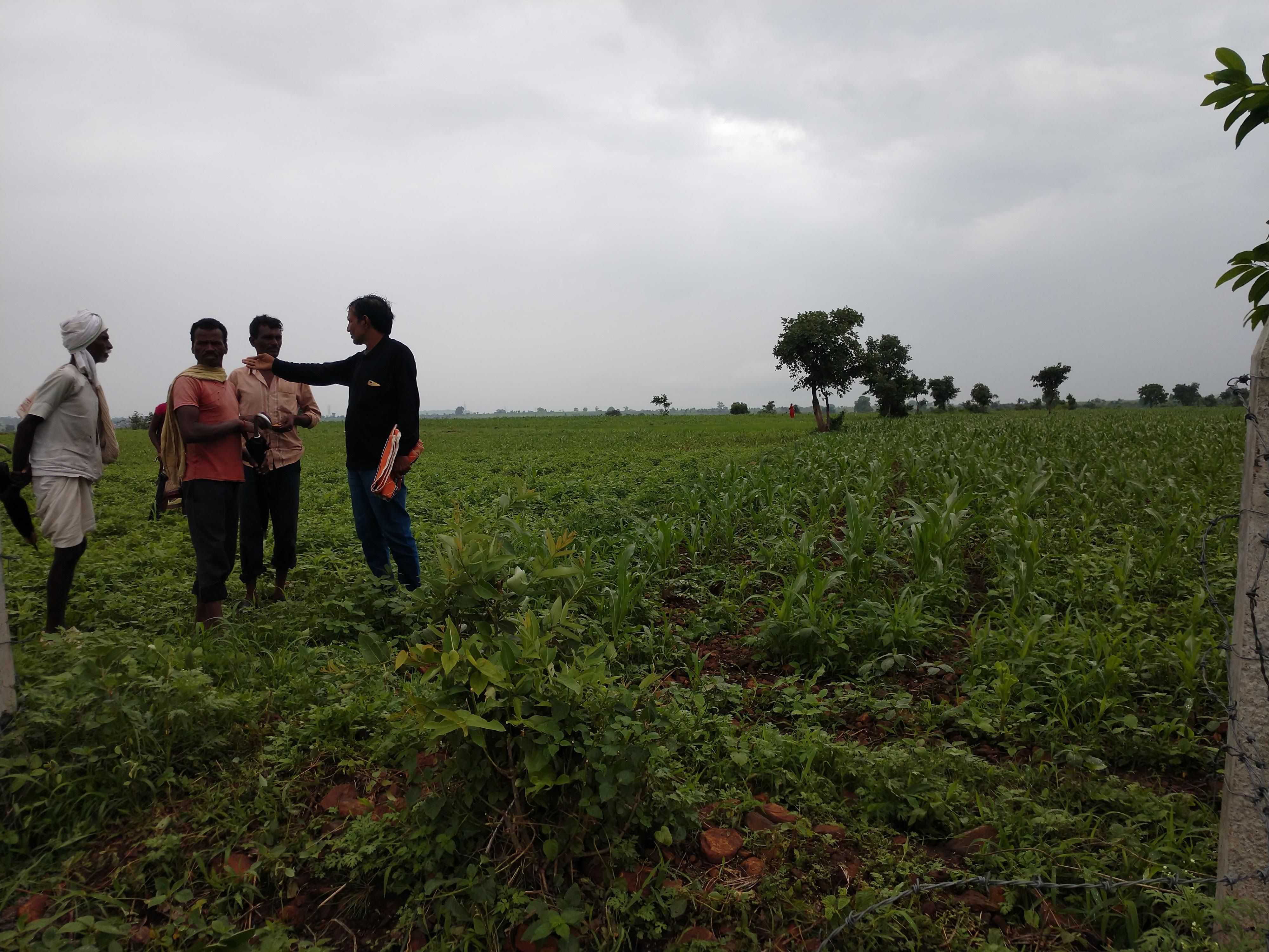 IMG_20190729_1348446