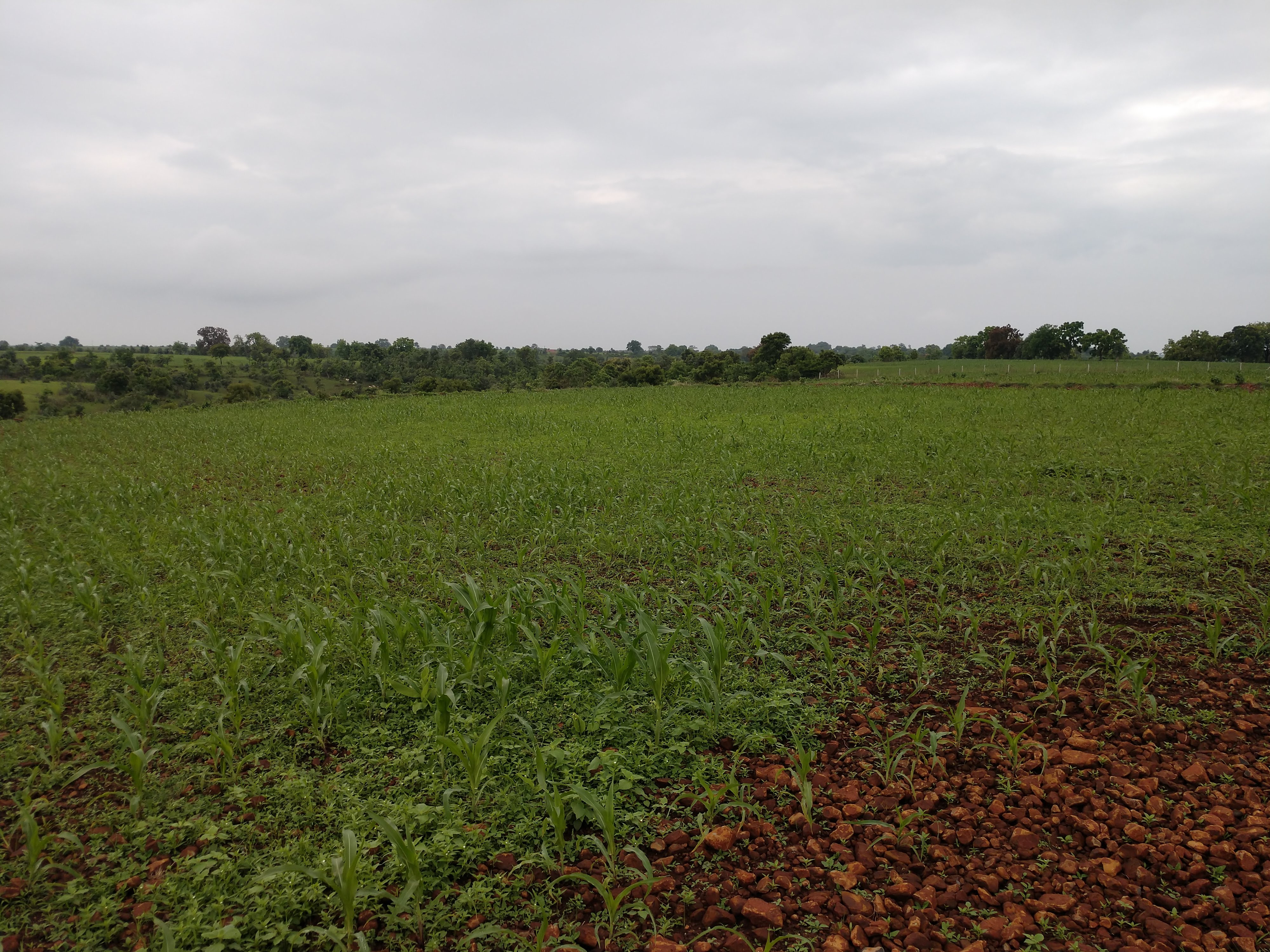 IMG_20190729_1416177