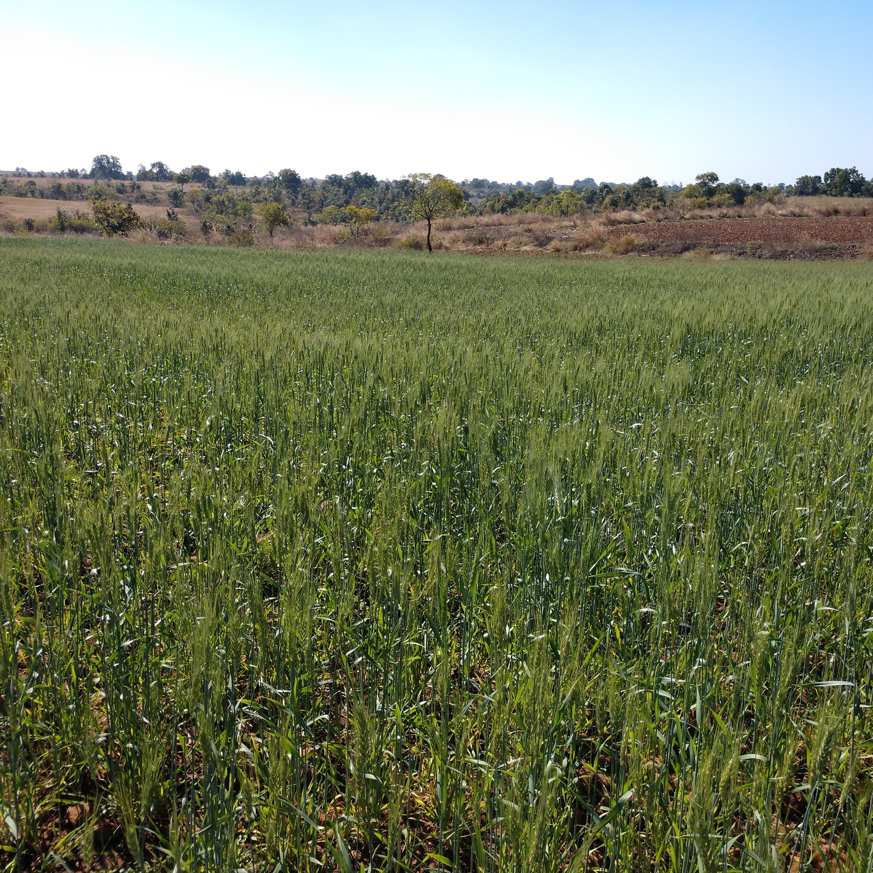 IMG_20200110_1221310