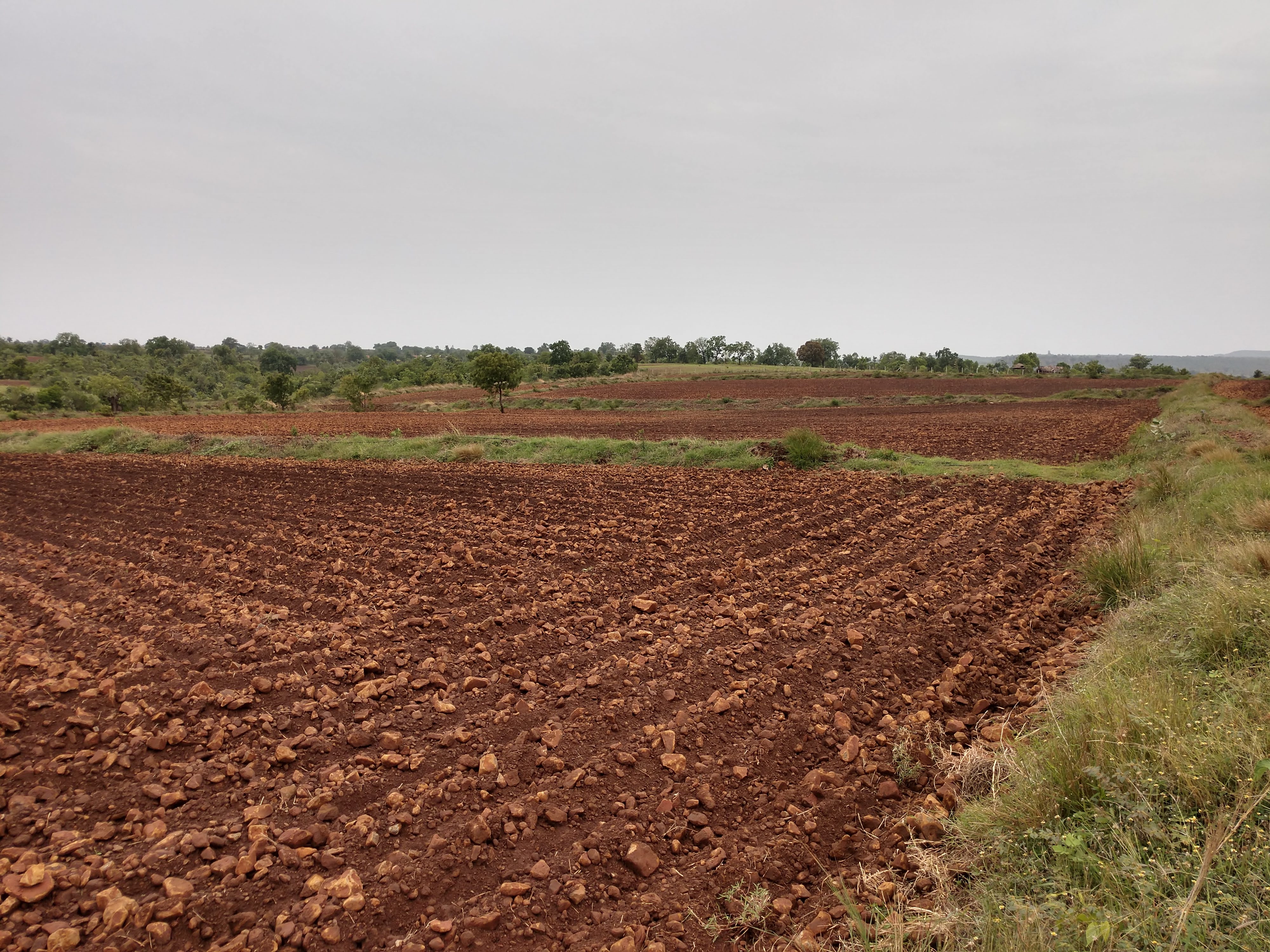 IMG_20200620_0917322