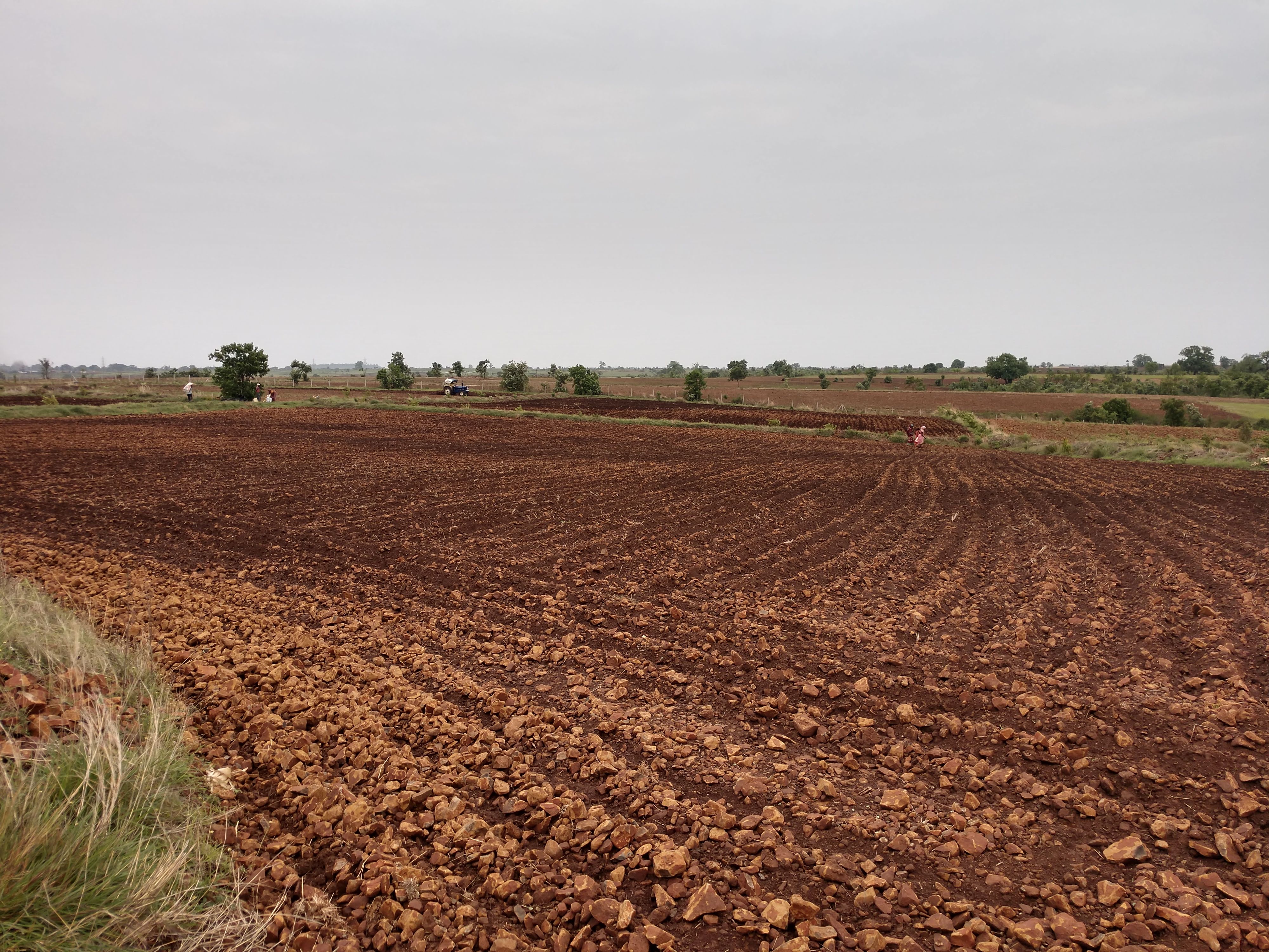 IMG_20200620_0917370