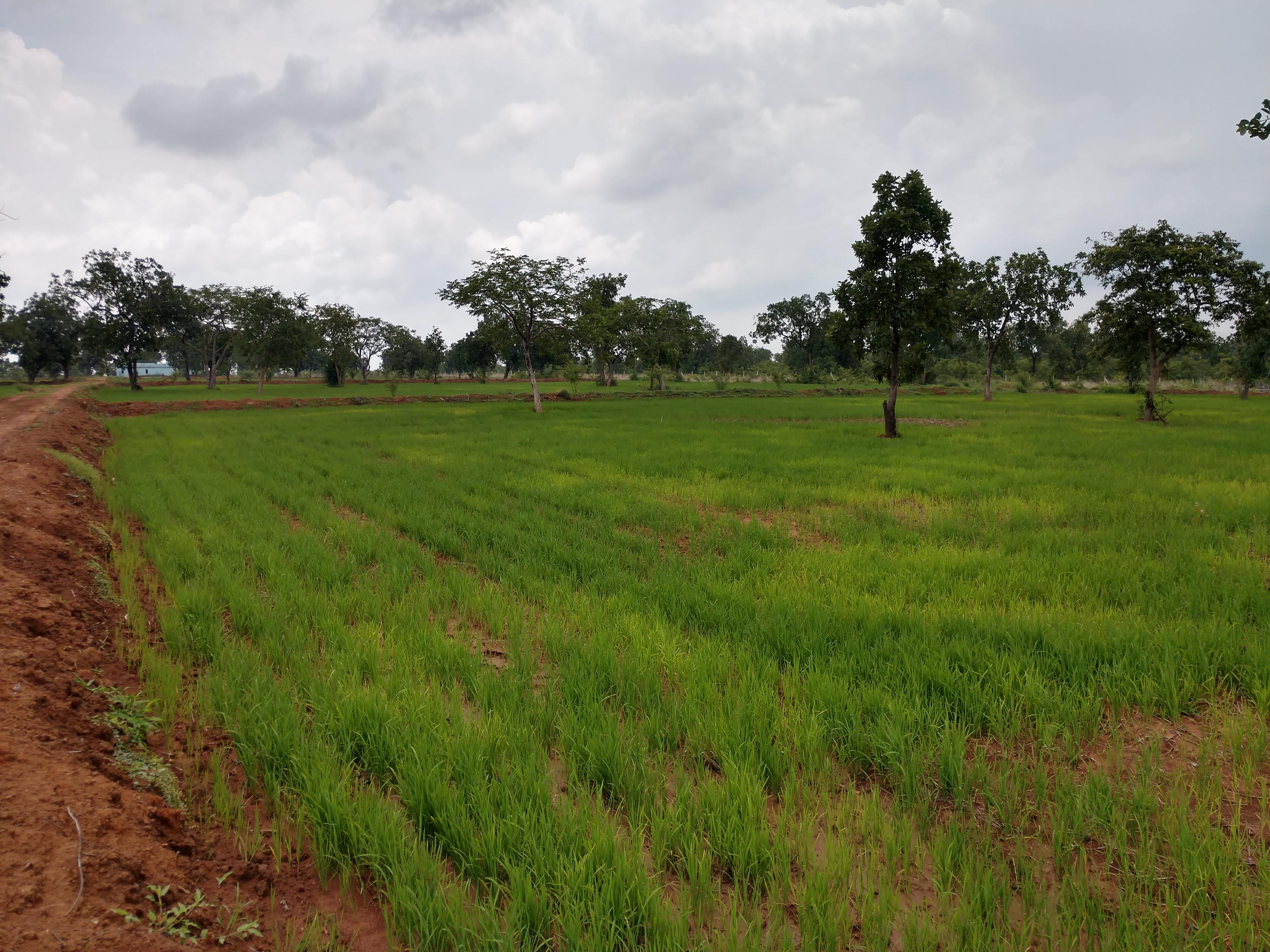 IMG_20200723_1241006