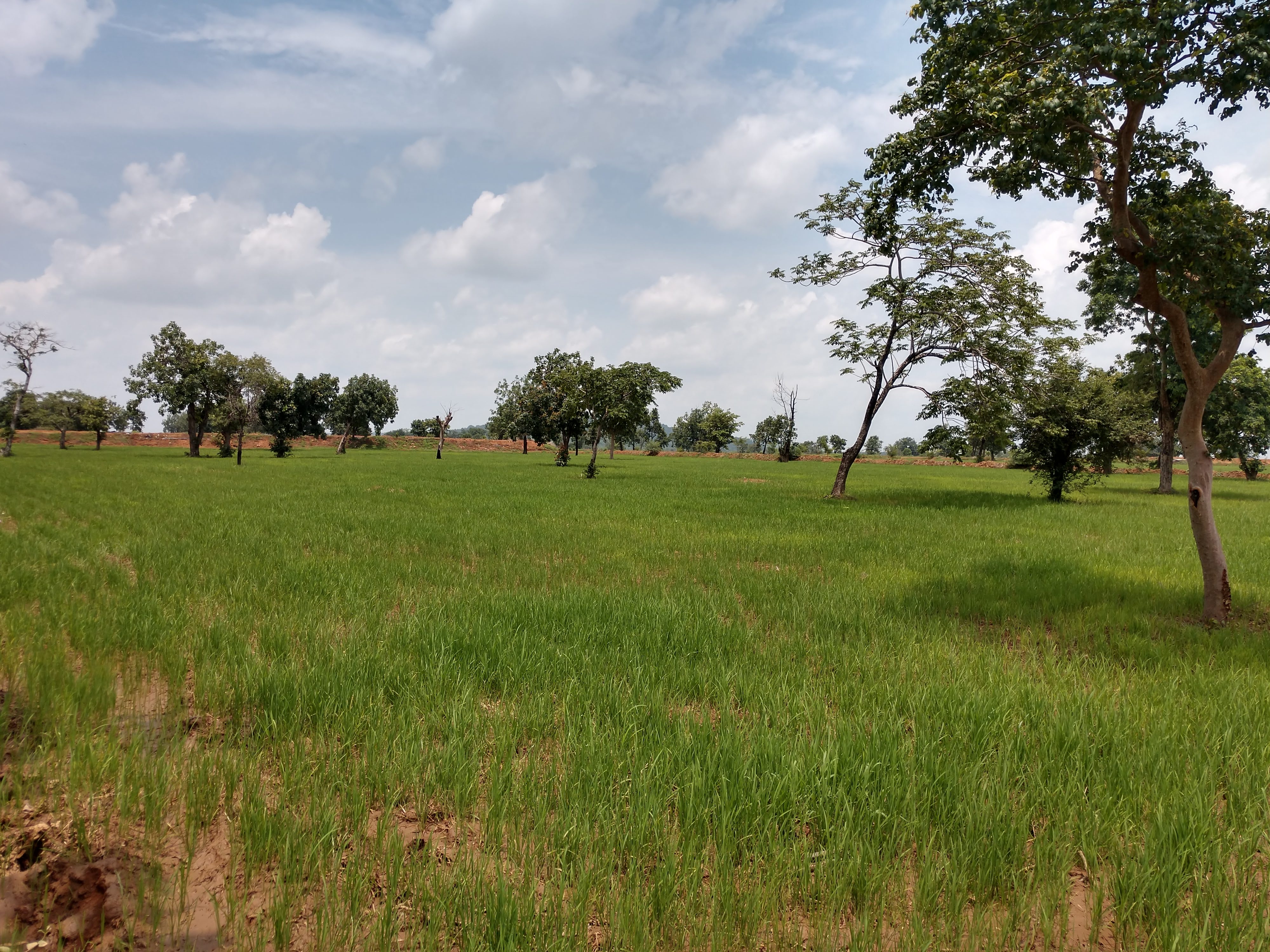 IMG_20200723_1252320