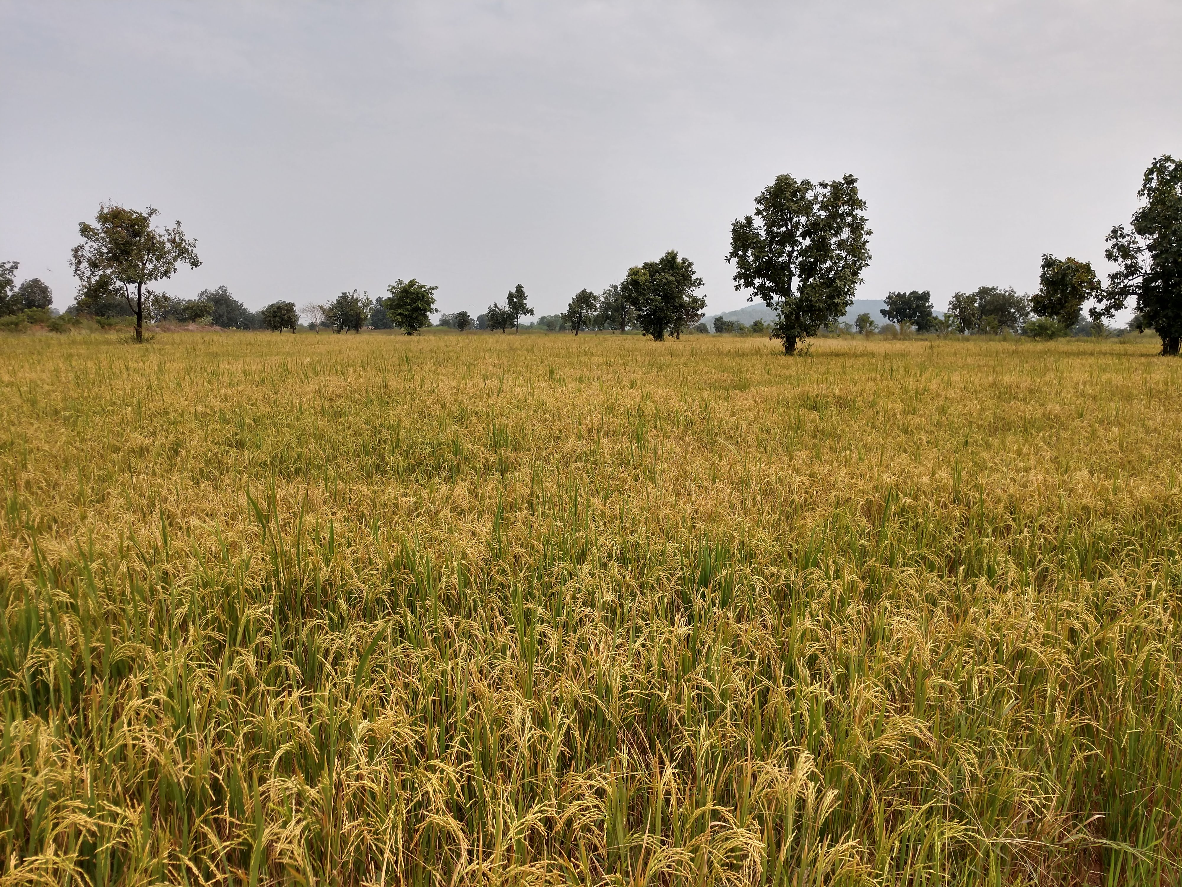 IMG_20201006_1031583