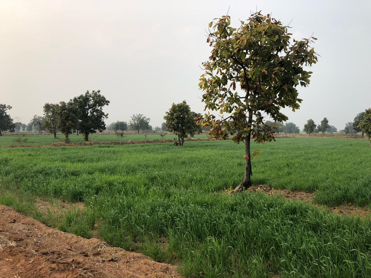 IMG-20200108-WA0168.