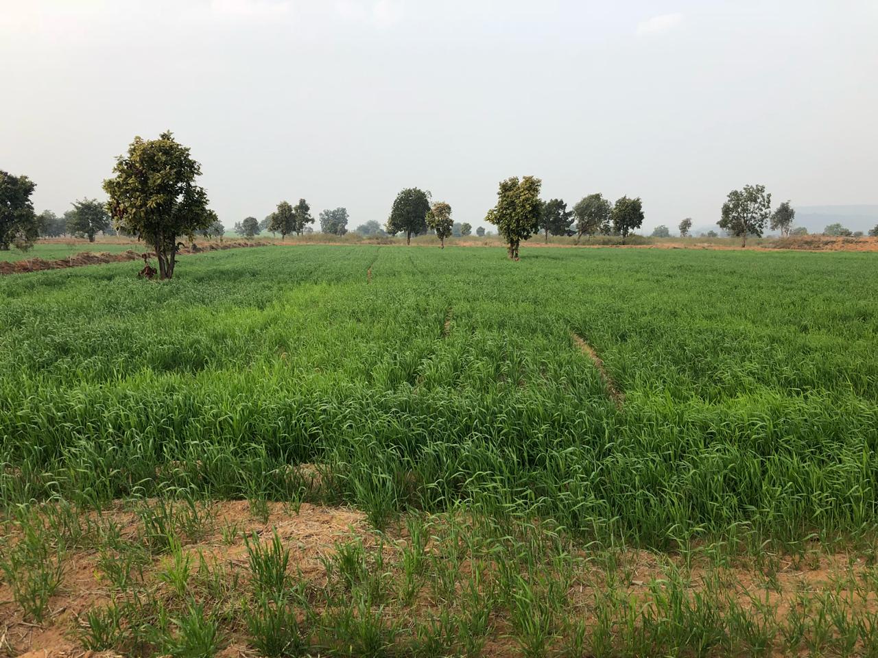 IMG-20200108-WA0169.