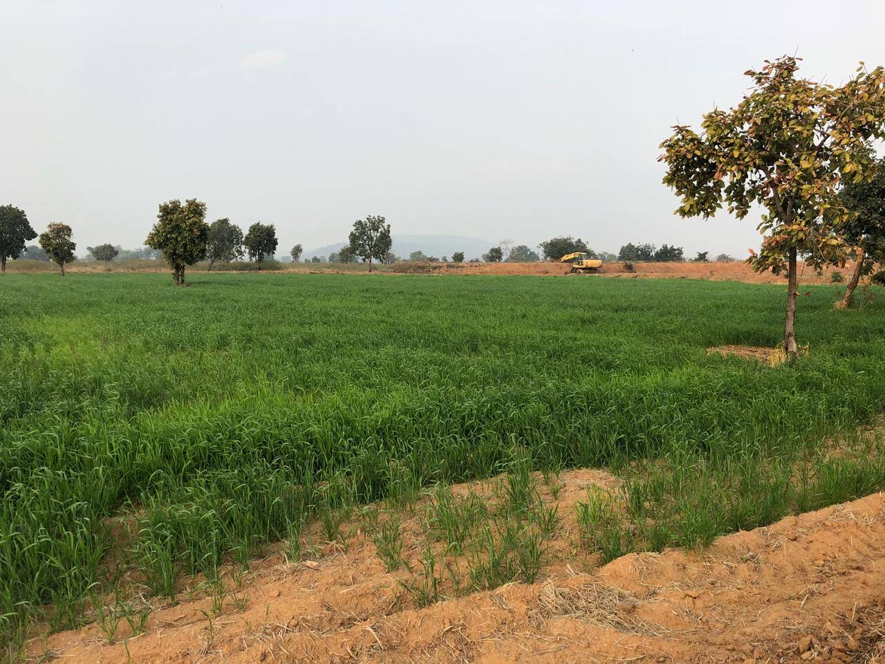 IMG-20200108-WA0170.