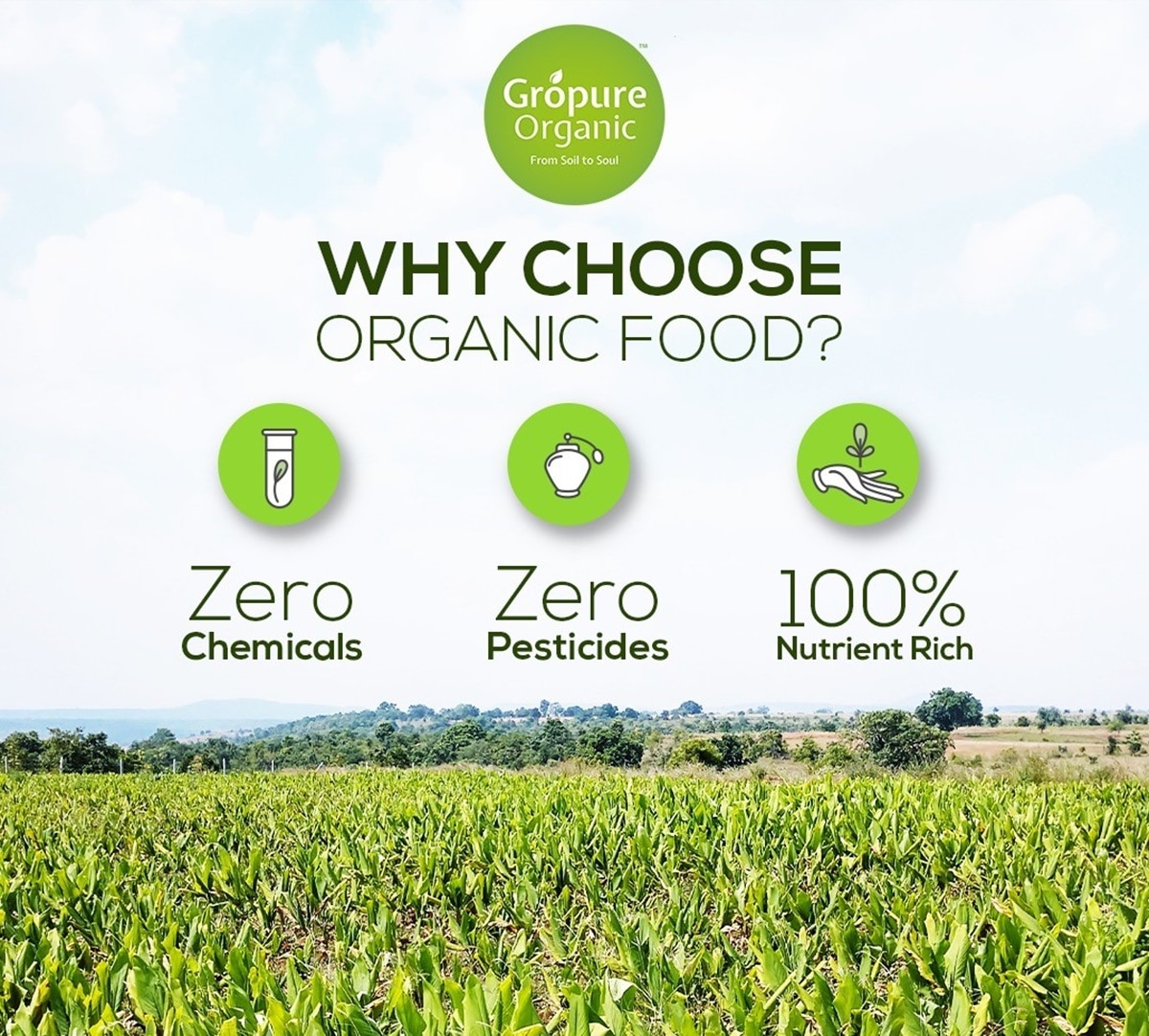 All Lifestyle - Comm