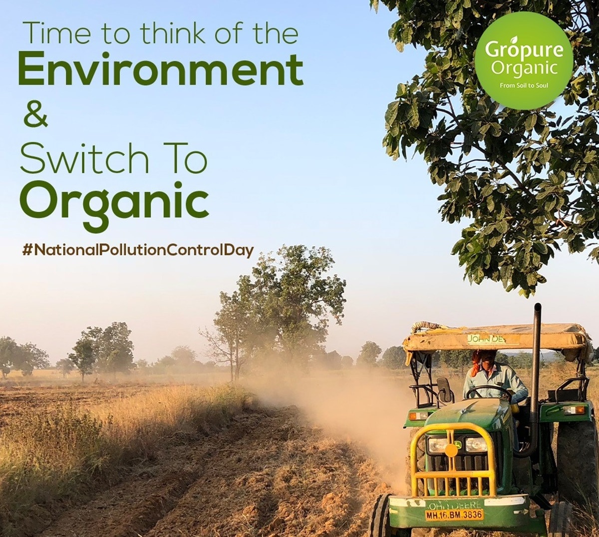 All Lifestyle - Comm