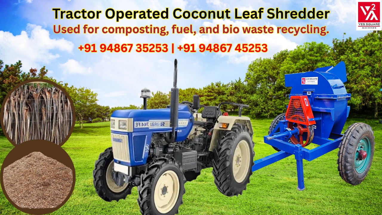 English -Coconut Lea