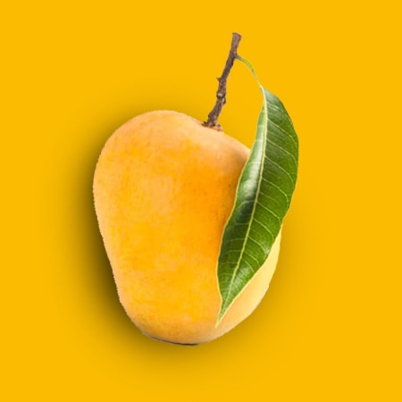Alphonsa.jpg