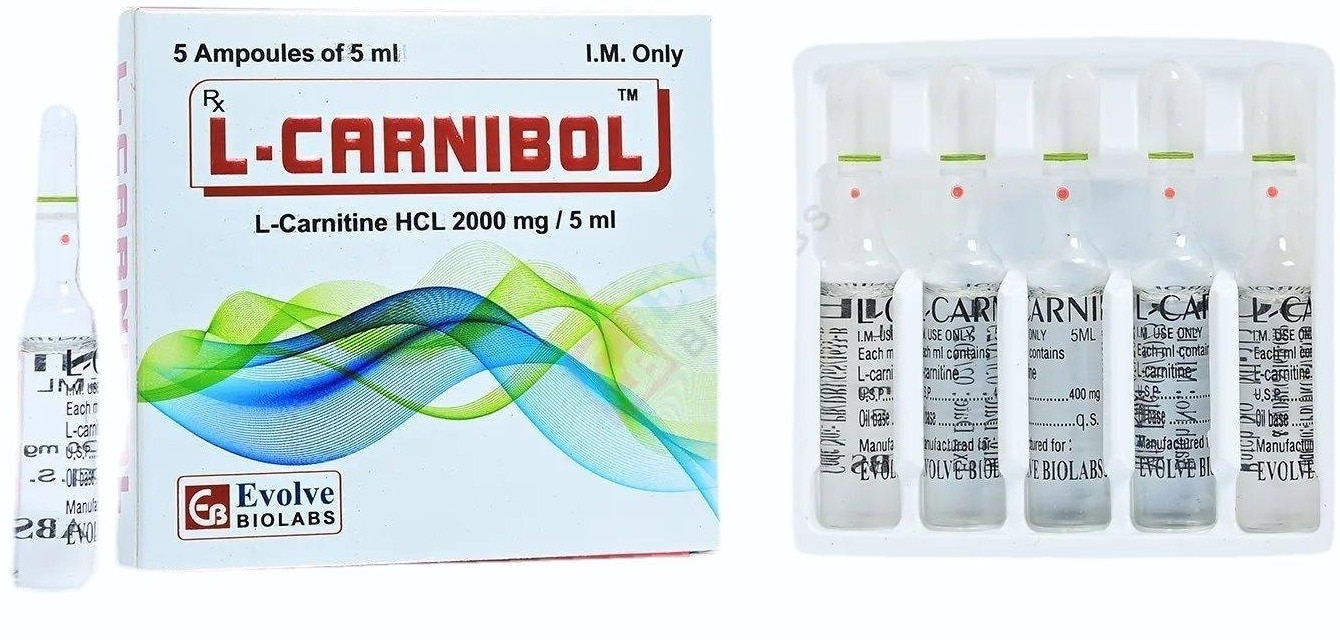 L Carnibol.jpg