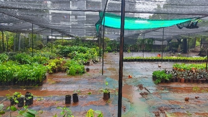 garden guru 3.jpg