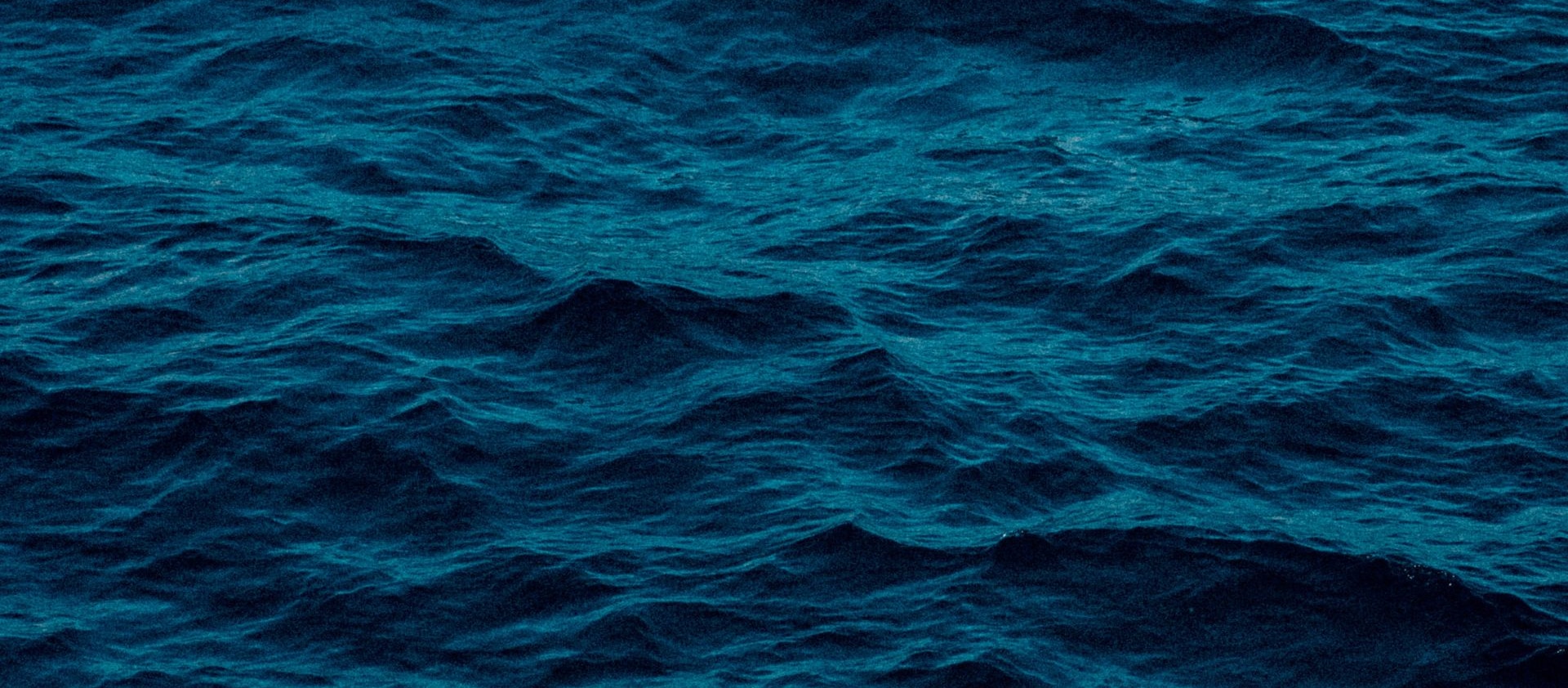 banner image