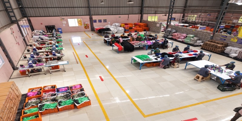 DJI_20250308124256_0