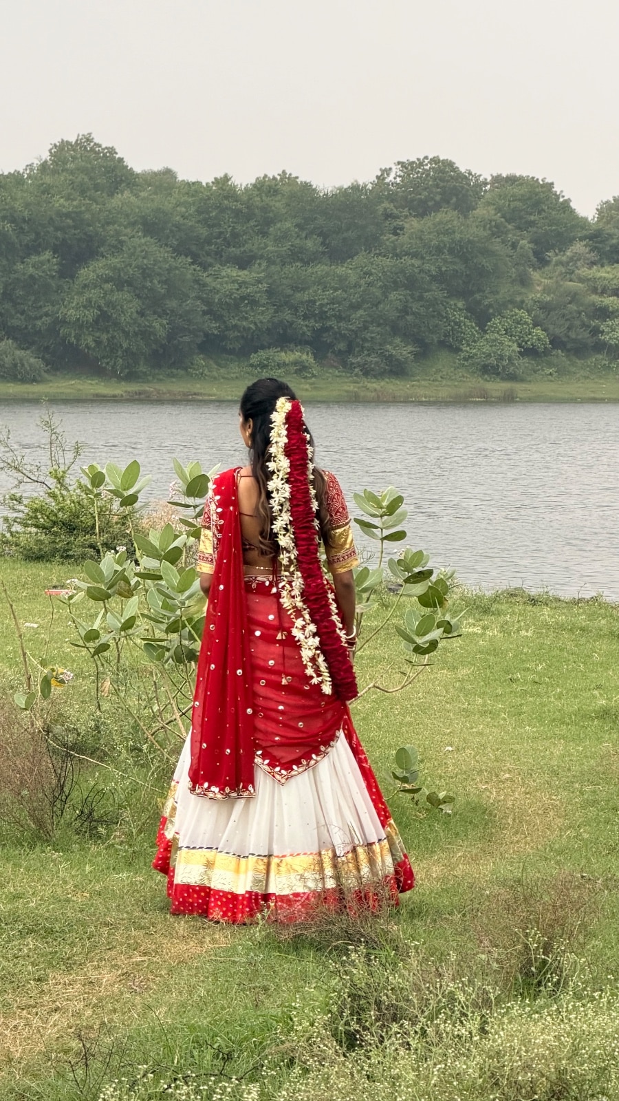 Image Gallery