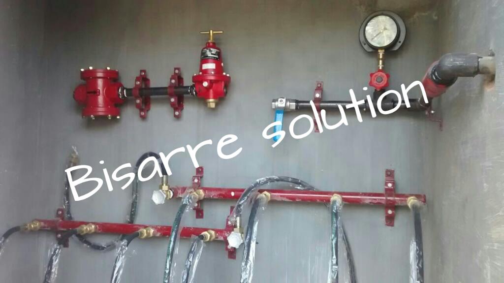 Bisarre Solutions | 
