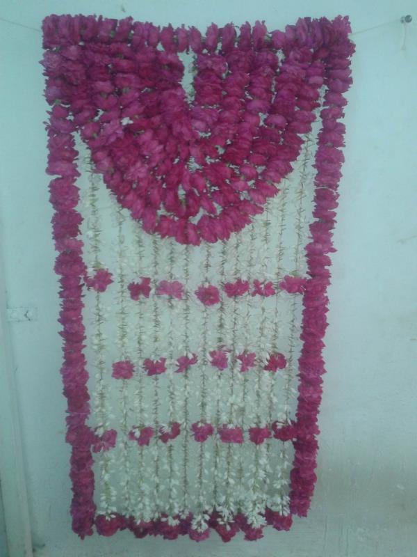 Kailash Fl