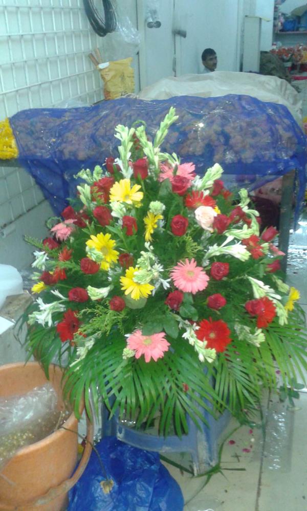 Kailash Fl