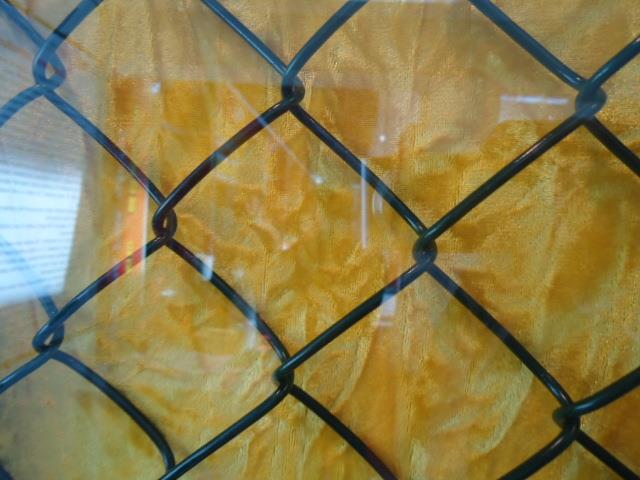CALCUTTA WIRE NETTING CO PVT LTD