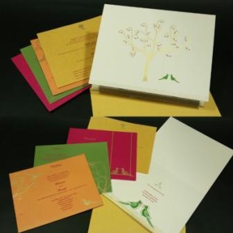 Deckle Edge