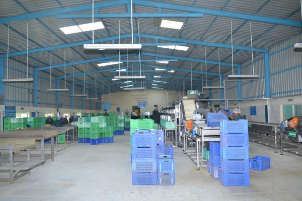 Exotic Agro Private Limited