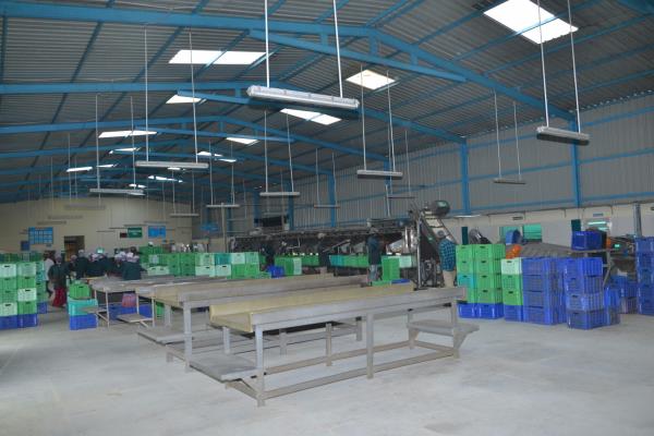 Exotic Agro Private Limited