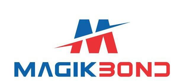 about ALSTROM INTERNATIONAL PRIVATE LIMITED