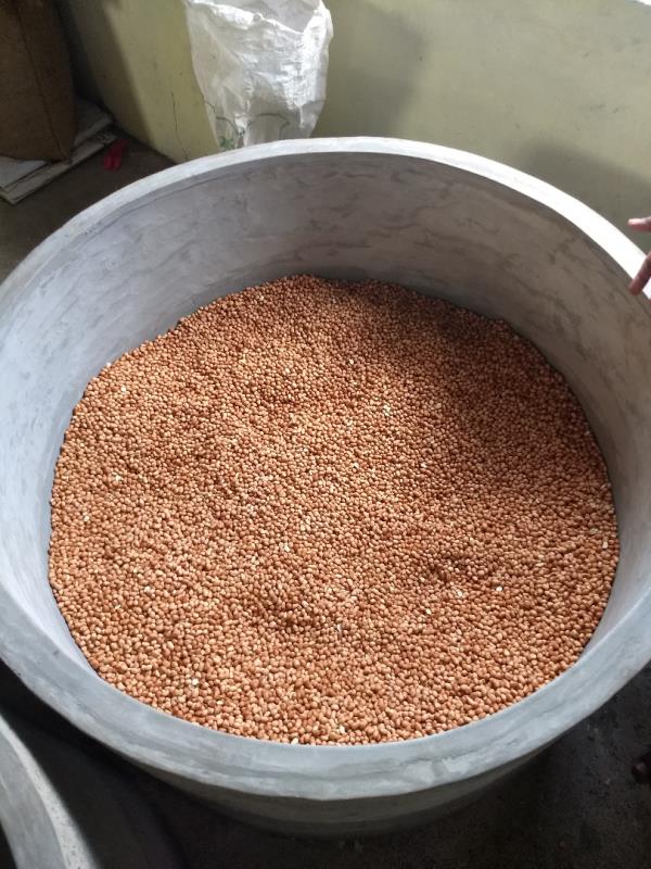 PONNI MARACHEKKU- 08030101833