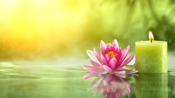 Image Gallery