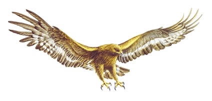 featured image