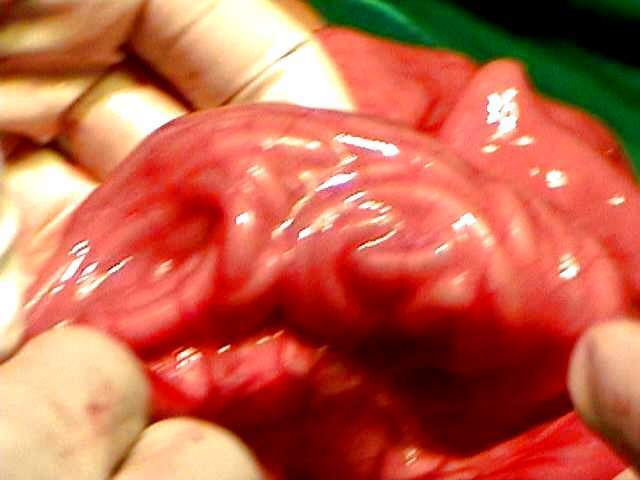 Image description