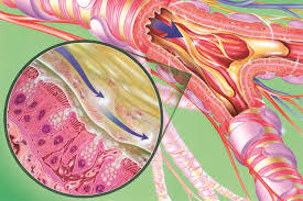 Rathi  Clinics gallery