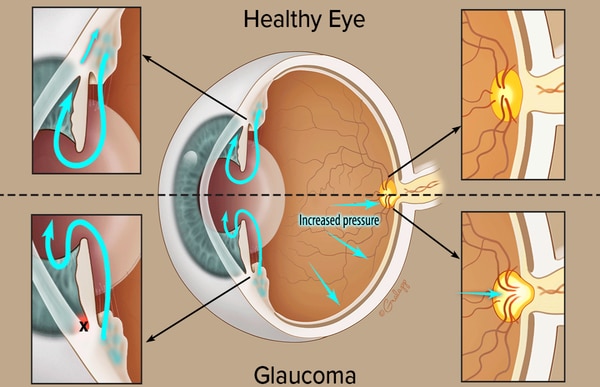 Green City Eye Clinic gallery