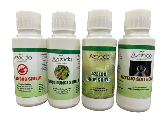 about Azeedo Private Limited