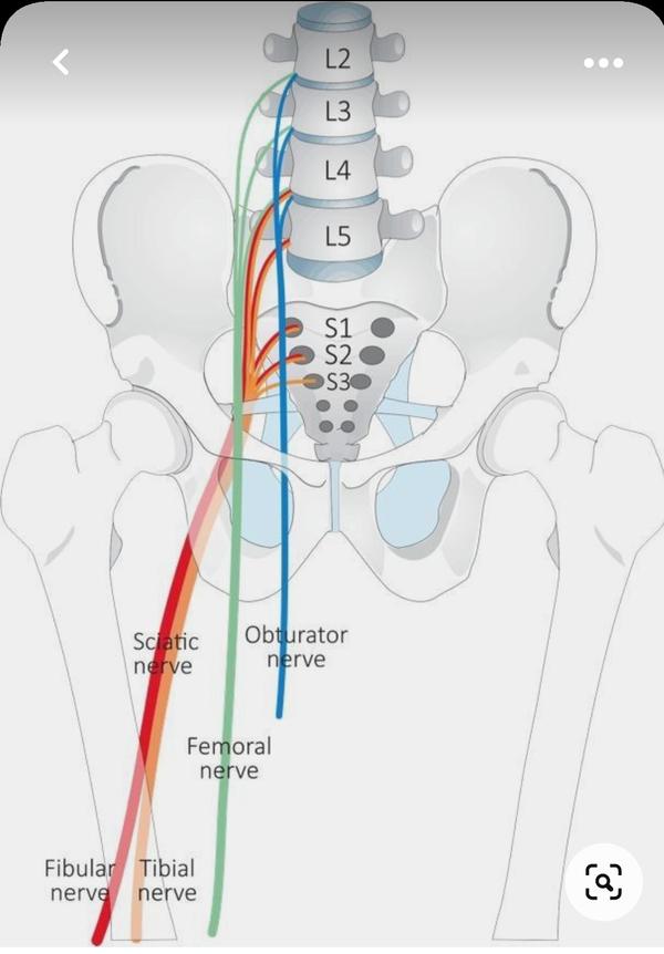 SUNSHINE SUPER SPECIALITY PHYSIOTHERAPY CLINIC gallery