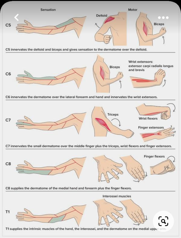SUNSHINE SUPER SPECIALITY PHYSIOTHERAPY CLINIC gallery