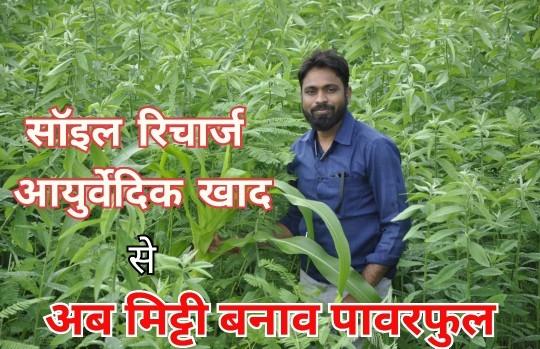 about Himalaya Agro Consultancy   Services