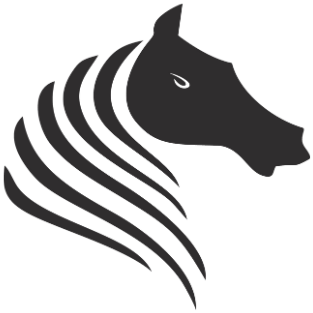 about STELLER INDUSTRIES