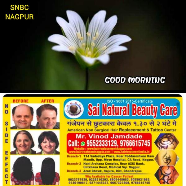 Image Gallery