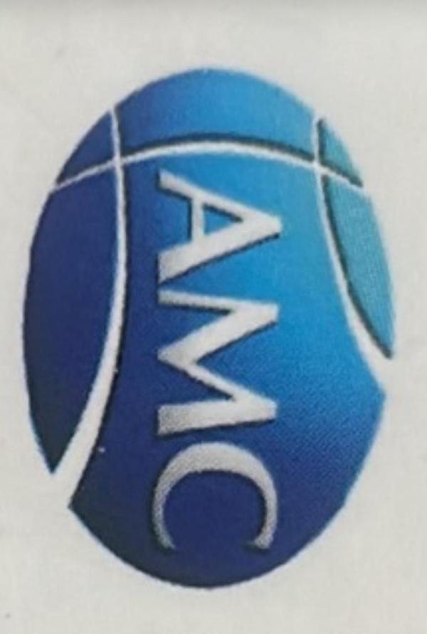 about Anand Metal Corporation