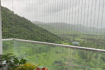 about Hindustan Bird Spike