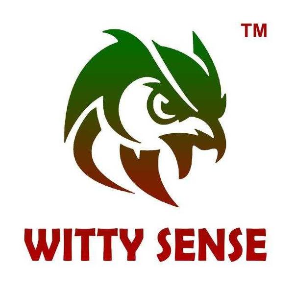 about WittySense Innovations Private Limited
