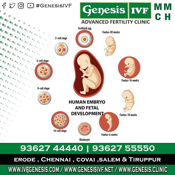 Genesis IVF gallery