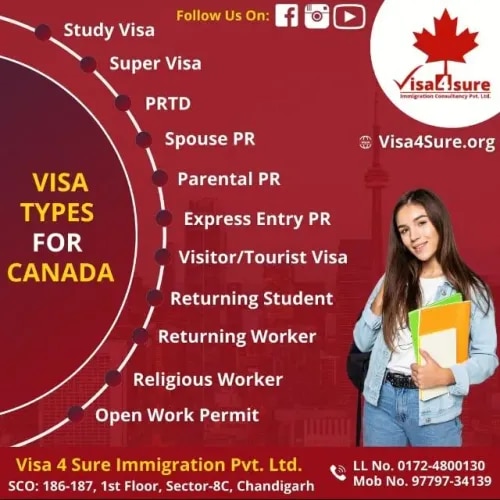 Visa 4 Sure Immigration Consultancy Pvt Ltd image